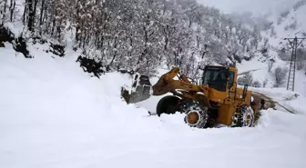 Bitlis İl Özel İdaresi Karla Mücadele Çalışmalarını Sürdürüyor