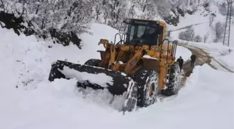 Bitlis'te Kar Yağışı Nedeniyle Kapanan Köy Yolları Açıldı