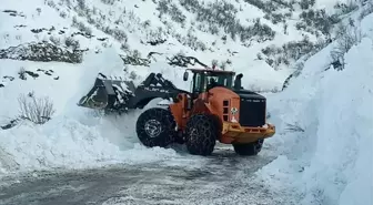 Hakkari'de çığ nedeniyle kapanan Yüksekova-Şemdinli kara yolu açıldı