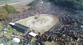 42. Uluslararası Selçuk Deve Güreşleri Festivali Başlıyor