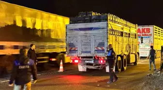 Diyarbakır Büyükşehir Belediyesi Zabıta Ekipleri 2023'te 65 bin 489 denetim gerçekleştirdi