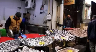 EGE Denizi'nde Fırtına Sonrası Balık Bolluğu
