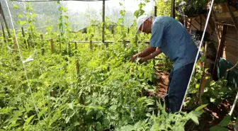 Odunpazarı Belediyesi'nden Hobi Bahçeleri İçin Başvurular Başladı