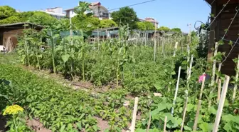 Odunpazarı Belediyesi'nden Hobi Bahçeleri İçin Başvurular Başladı