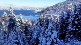 Kar, güneş, manzara ve eğlence Abant'ta