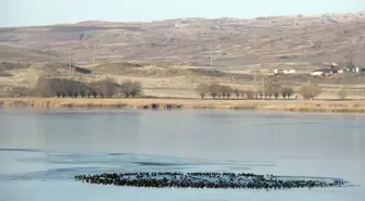 Sivas'ta Hafik Gölü'nün yüzeyi buzla kaplandı