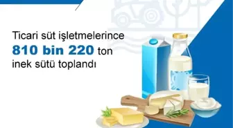 Kasım Ayında Tavuk Yumurtası Üretimi Arttı, İnek Sütü Miktarı Artış Gösterdi
