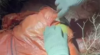 Van'da 1 Ton Uyuşturucu Ele Geçirildi