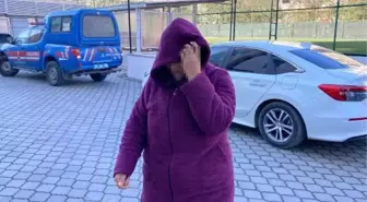 Samsun'da Yılbaşı Gecesi Bir Evin Bahçesinden Hindi Çalan Kadın Gözaltına Alındı