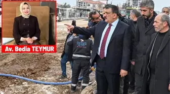 Avukat Bedia Teymur yazdı: Yazık etmeyin Malatya'ya