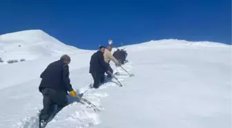 Van'ın Bahçesaray ilçesinde çığ altında kalan mahalleye su getirildi