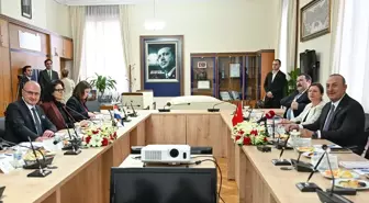 NATO PA Türk Delegasyonu Başkanı Mevlüt Çavuşoğlu, Hırvatistan Dış ve Avrupa İşleri Bakanı ile görüştü