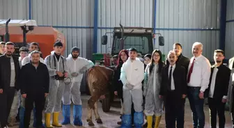 TOGÜ Öğrencilerine Büyükbaş Hayvanlarla İlgili Eğitim Verildi