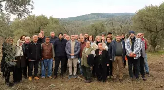 Efes Tarlası Yaşam Köyü'nde Kadın Üreticilere Zeytin Ağacı Budama Eğitimi Verildi