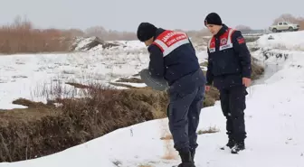 Ağrı'da Zorlu Kışta Yaban Hayvanlarına Yemleme Çalışması