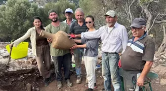 Muğla'da Amos Antik Kenti'nde 10 Amfora Bulundu