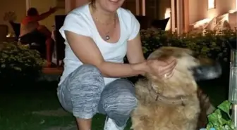 Antalya'da Annenin Öldürülmesi Davasında Tahliye Kararı