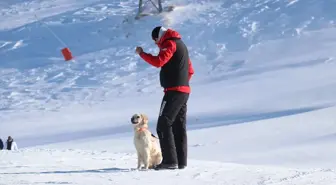 Palandöken Kayak Merkezi'nde Arama Kurtarma Köpeği Hera Görev Başında