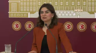 DEM Parti Grup Başkanvekili Gülüstan Kılıç Koçyiğit: 2024 emeklilerin açlık ve sefalet yılı olabilir