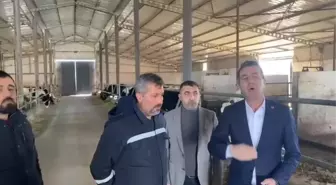 CHP Genel Başkan Yardımcısı Erhan Adem: Süt üreticileri zor durumda