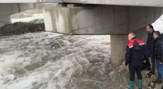 Asi Nehri taştı, 10 bin dekar tarım arazisi sular altında kaldı