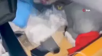 Kırıkkale polisinden 'huzur' operasyonu: 2 gözaltı