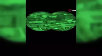 Örnekköy'deki silahlı çatışmaya 3 tutuklama