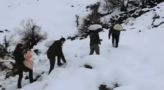 Siirt'te kar nedeniyle aç kalan yaban hayvanlarına doğada yem bırakıldı