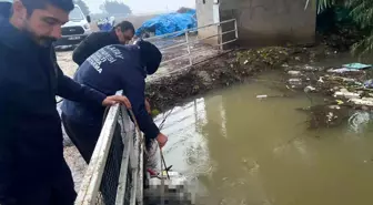 Hatay'ın Reyhanlı ilçesinde sulama kanalında erkek cesedi bulundu
