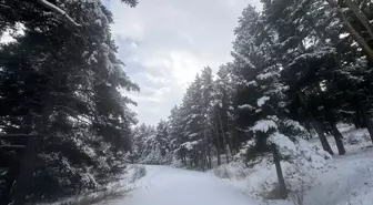 Tunceli ve Ardahan'da kar yağışı, Erzurum ile Ağrı'da soğuk hava etkili