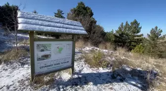 Yozgat Çamlığı'ndaki Kar Kuyuları Turizme Kazandırılacak