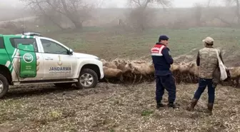 Edirne'de Hayvancılık Yapanlara Hastalık Bilgilendirmesi