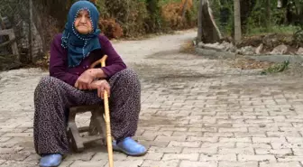 Elazığ'da 8 yıl önce kaybolan yaşlı adam hala bulunamadı