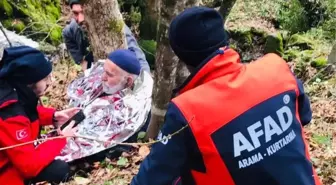 Alzheimer hastası ormanda bulundu