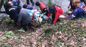Alzheimer hastası ormanda bulundu