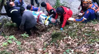 Kayıp 81 yaşındaki yaşlı adam sağ olarak bulundu