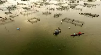 Endonezya'da yüzen çiftliklerde balık üretimi yapılıyor