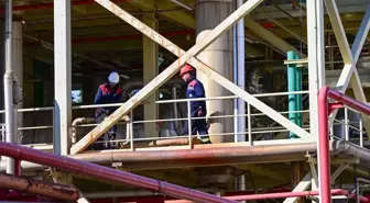 Türkiye'de Biyoyakıt Kullanımı 4-5 Kat Büyüme Potansiyeline Sahip