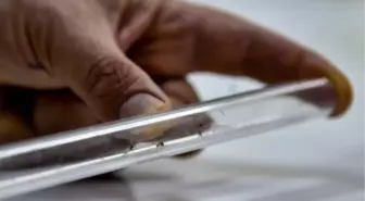 Kış Aylarında Sivrisinek Tehlikesi Devam Ediyor