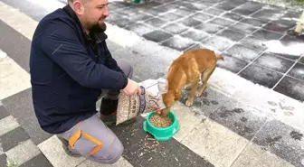 Çorlu Belediyesi Atık Gıdalardan Mama Üretimi Yapıyor