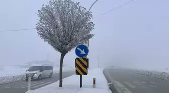 Van'ın Gürpınar ilçesinde karla mücadele çalışmaları sürüyor