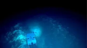 Atlantik Okyanusu'ndaki En Geniş Derin Deniz Mercan Resifinin Haritası Çıkarıldı