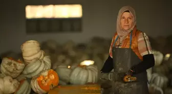 Sakarya'da yerli tohumlarla çıtır kabak tatlısı üretimi