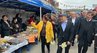 Karaburun'da Nergis Festivali İzdihamı