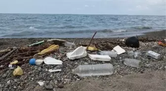 Doğu Karadeniz'de Küresel Isınmanın Etkisiyle Artan Yağışlar Kirliliğe Neden Oluyor