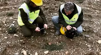 Hanönü ilçesinde yapılan çalışmalarda 35 endemik tür tespit edildi