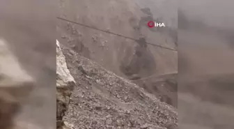 Malatya'da yaban keçileri sürü halinde görüntülendi