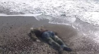 Manavgat sahilde kimliği belirsiz 2 erkek cesedi bulundu
