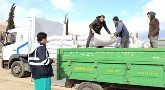 Antalya Büyükşehir Belediyesi Büyükbaş Hayvan Yetiştiricilerine Yüzde 15 Hibeli Yem Desteği Sağlıyor