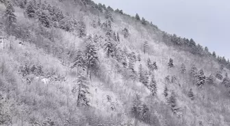 Kastamonu'da Ormanlar Karla Kaplandı